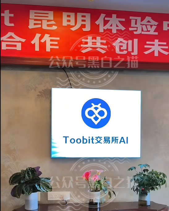 原文相关图片8