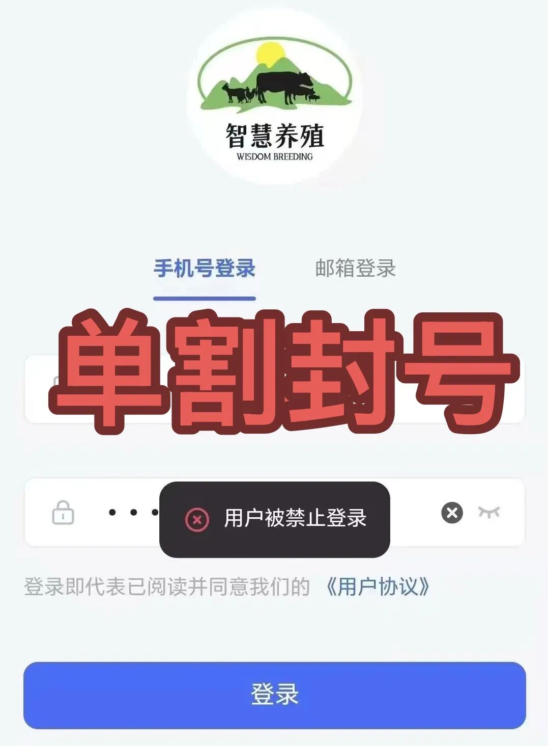 原文相关图片1